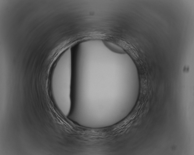 X0000097800338200803140741