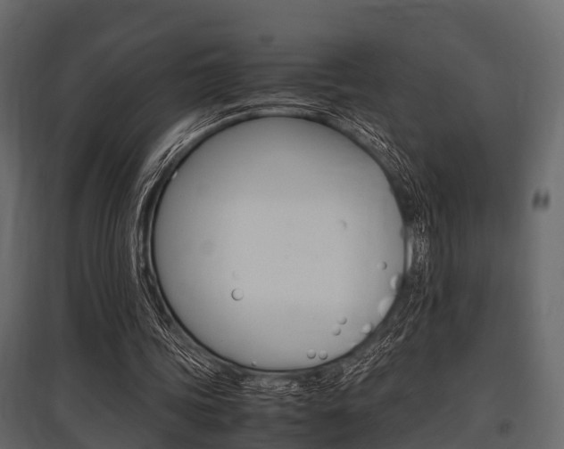 X0000097800339200803140741