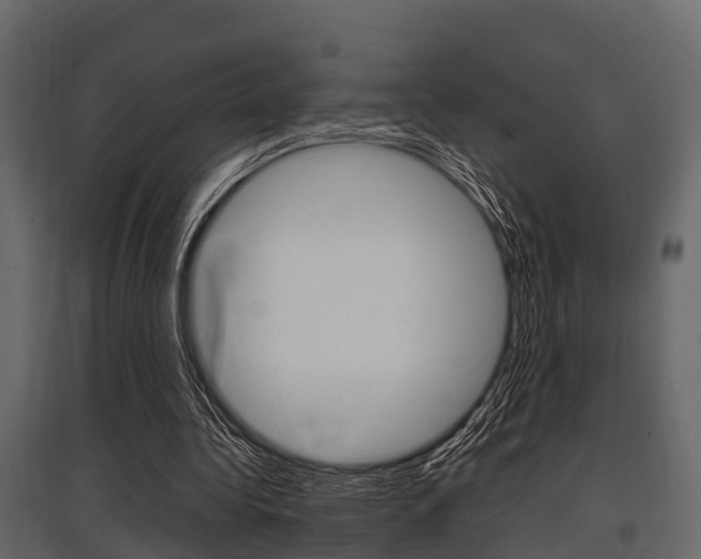 X0000097800340200803140741