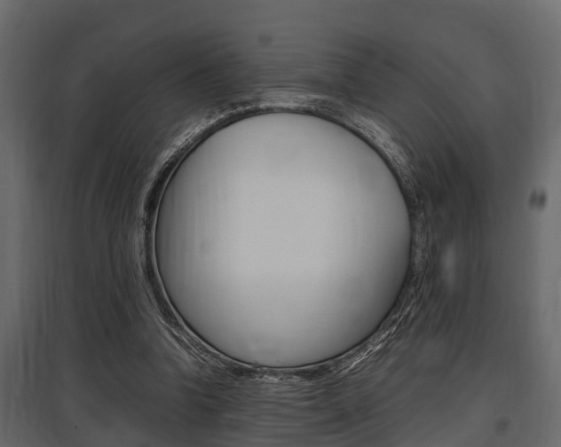X0000097800346200803140741