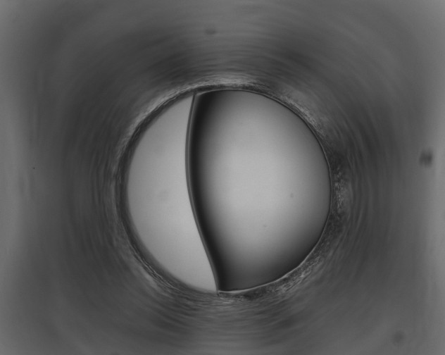 X0000097800350200803140741