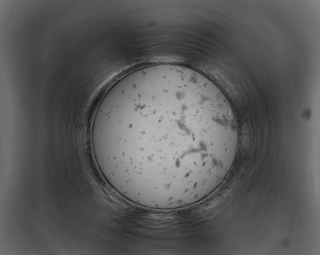 X0000097800351200803140741