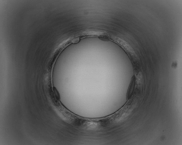 X0000097800352200803140741