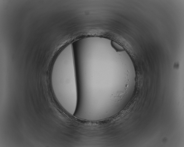 X0000097800354200803140741