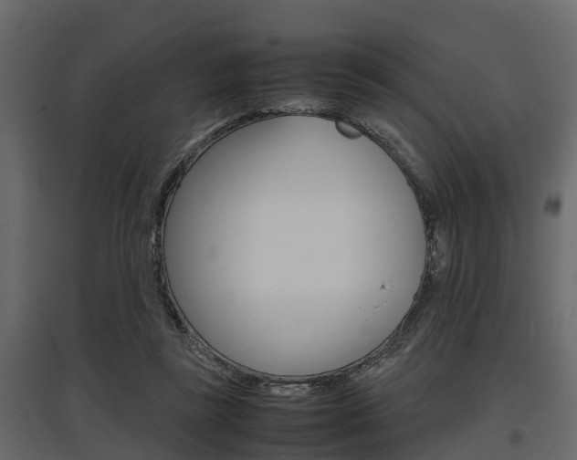 X0000097800355200803140741