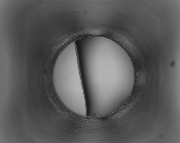 X0000097800358200803140741