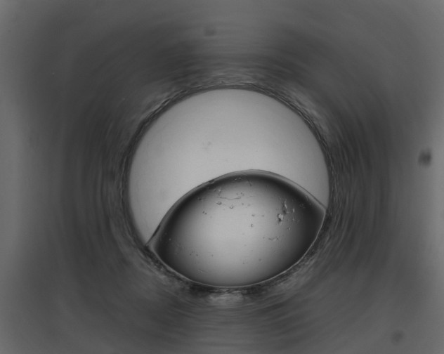 X0000097800362200803140741