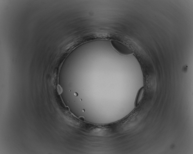 X0000097800364200803140741