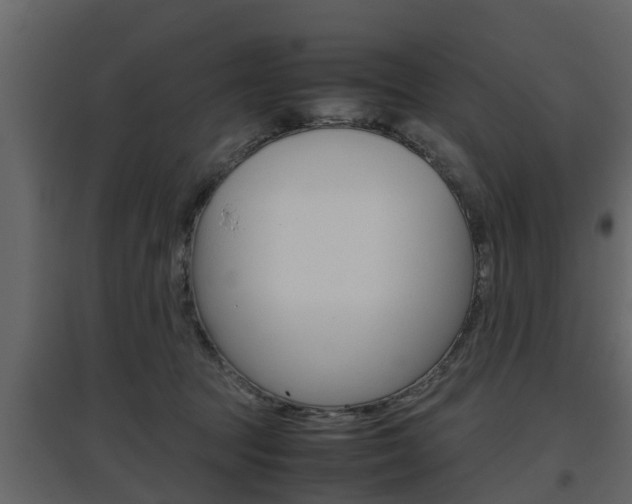 X0000097800369200803140741
