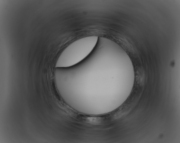 X0000097800371200803140741