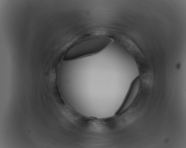 X0000097800372200803140741