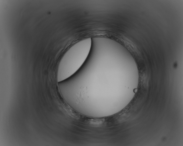 X0000097800373200803140741