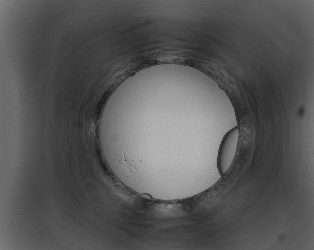 X0000097800375200803140742