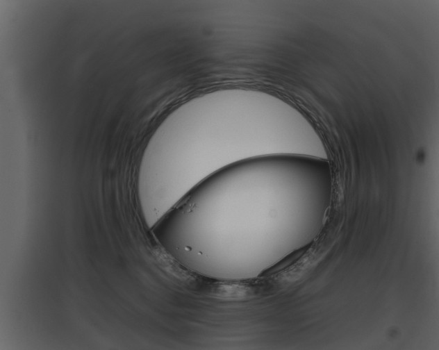 X0000097800376200803140742