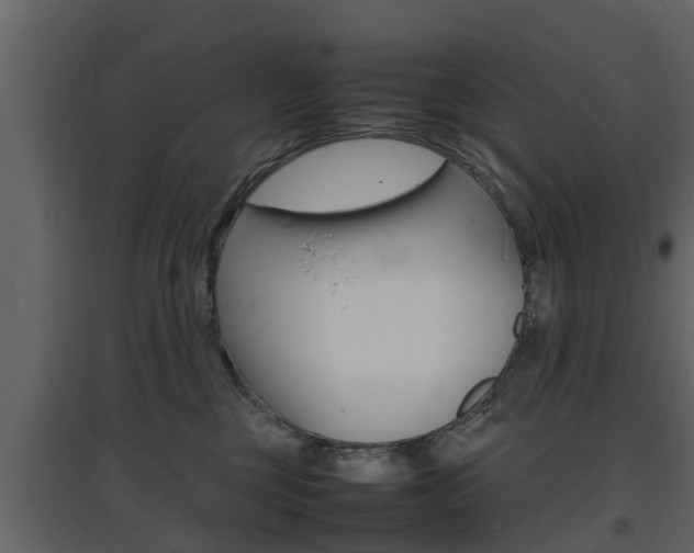 X0000097800377200803140742