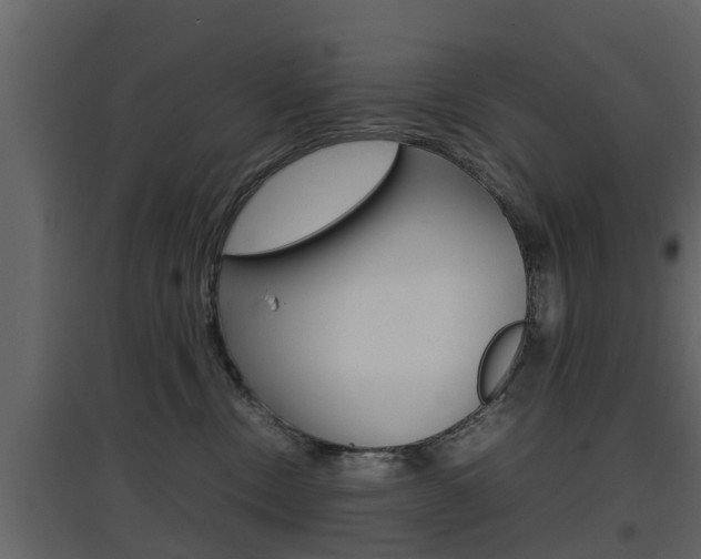 X0000097800378200803140742