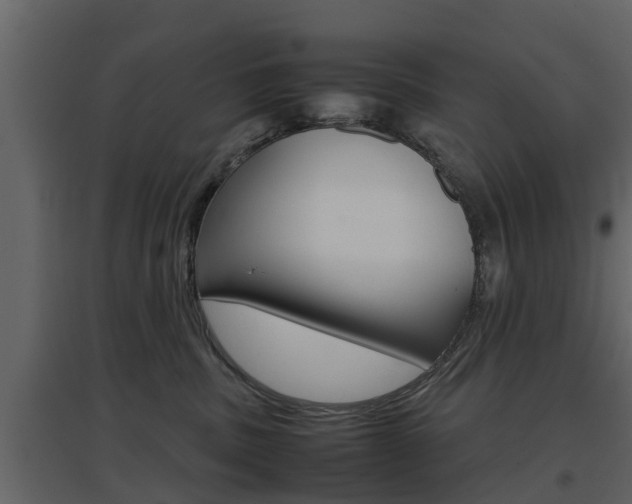 X0000097800379200803140742