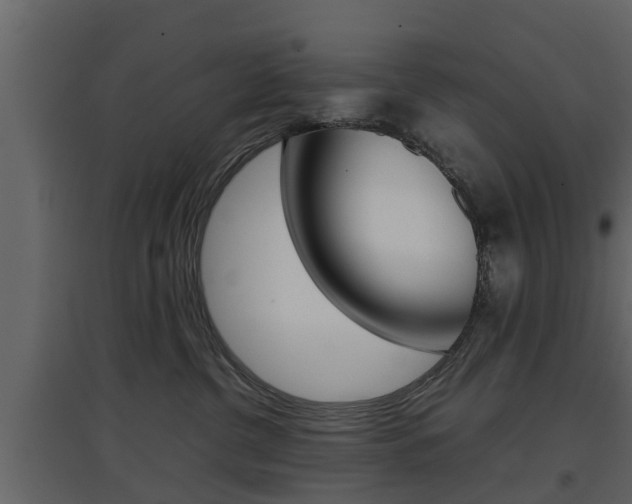 X0000097800380200803140742