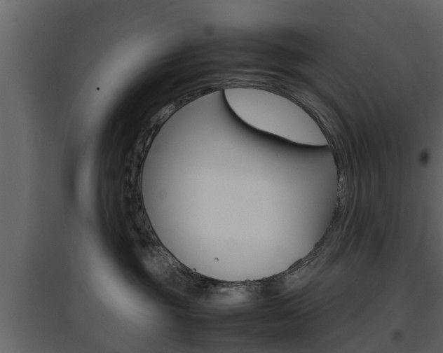 X0000097800381200803140742