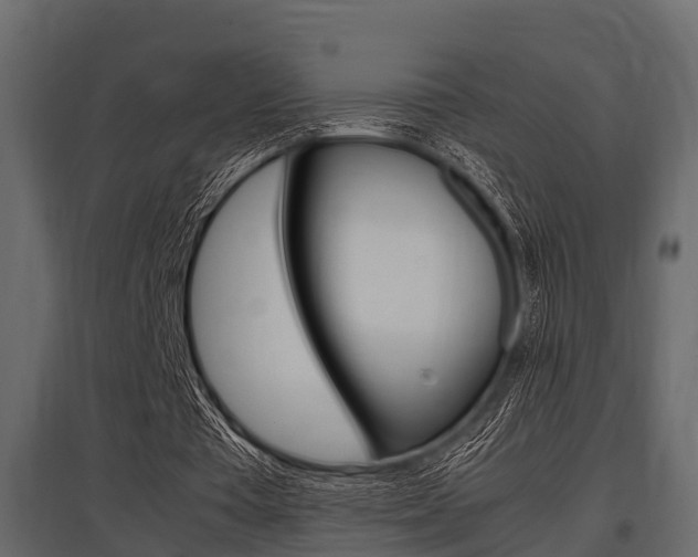 X0000097800385200803140741