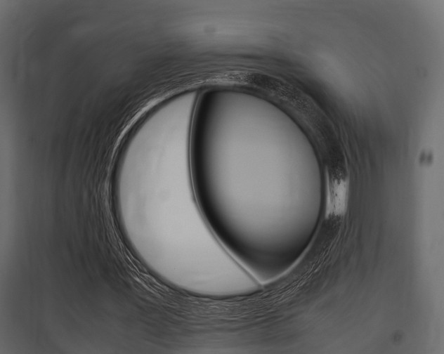 X0000097800387200803140741