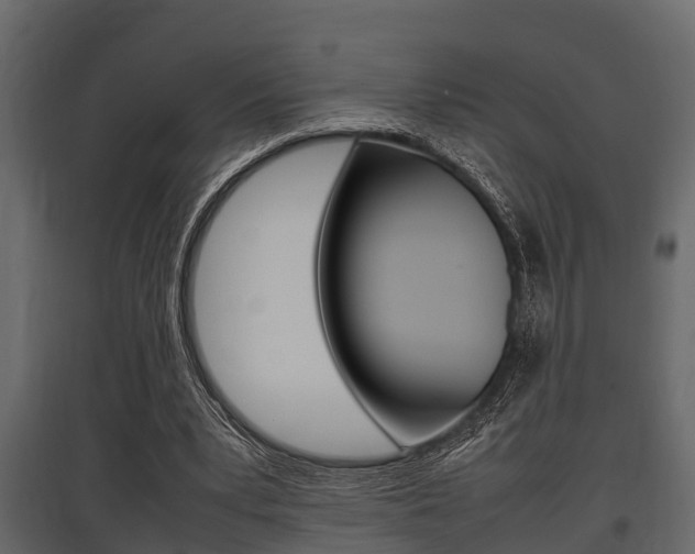X0000097800391200803140741