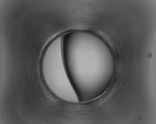X0000097800395200803140740