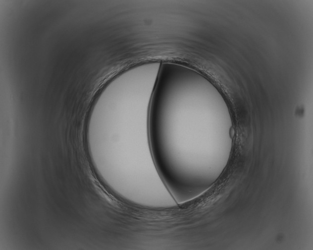 X0000097800397200803140740