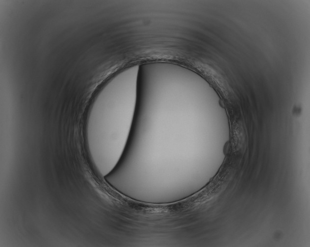X0000097800398200803140740