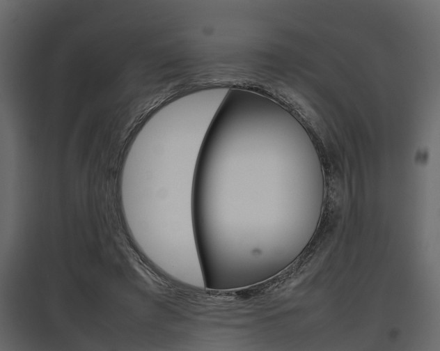 X0000097800401200803140740