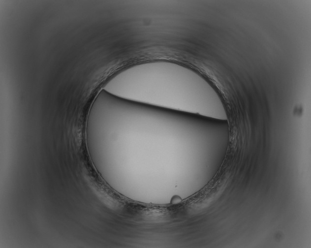 X0000097800402200803140740
