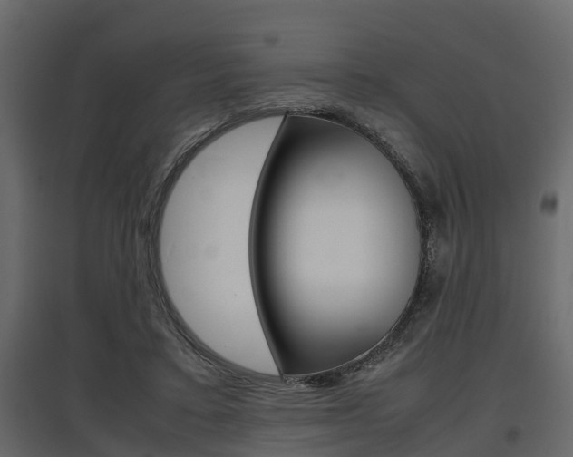 X0000097800403200803140740