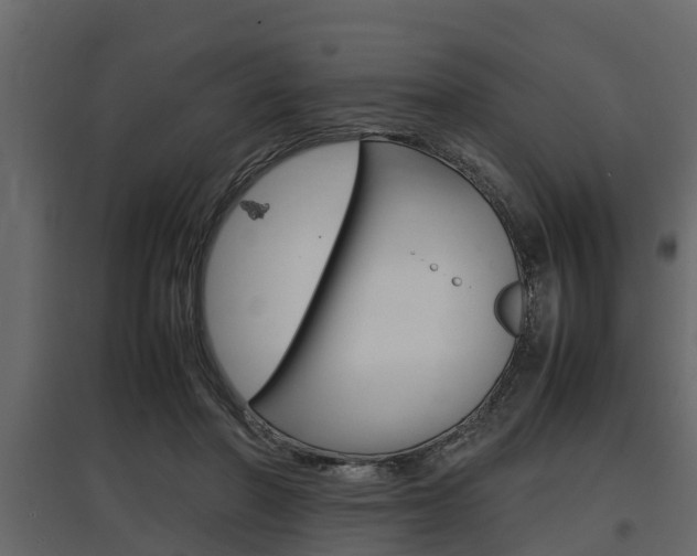 X0000097800406200803140740