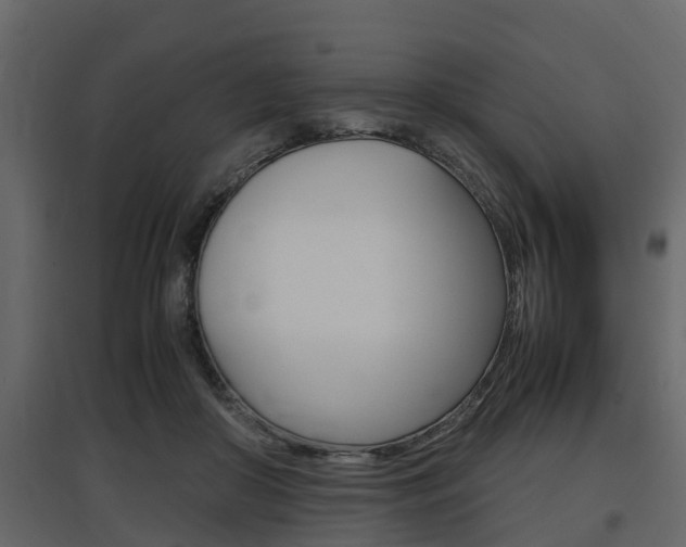 X0000097800410200803140740