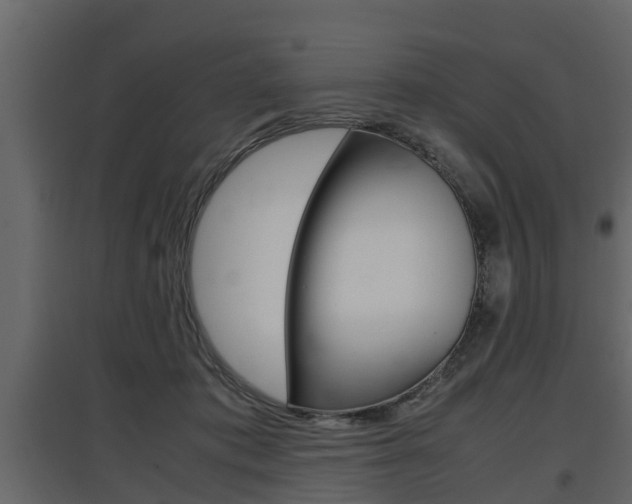 X0000097800413200803140740