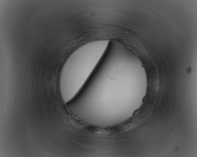 X0000097800416200803140740