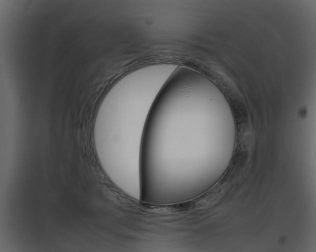X0000097800417200803140740
