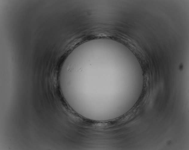 X0000097800422200803140740