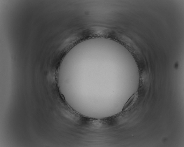 X0000097800423200803140740