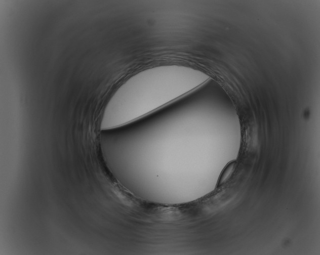 X0000097800424200803140740