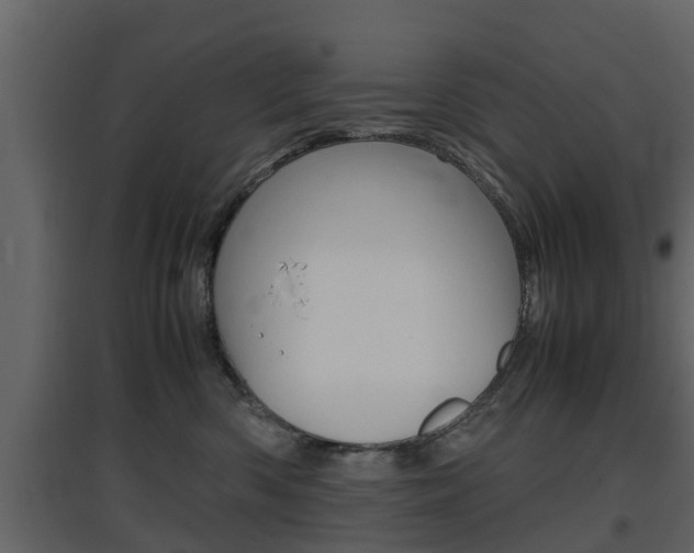 X0000097800426200803140740