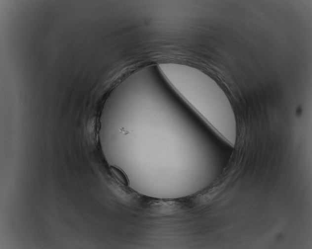X0000097800428200803140740