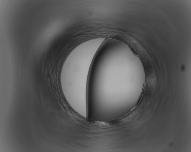 X0000097800429200803140740