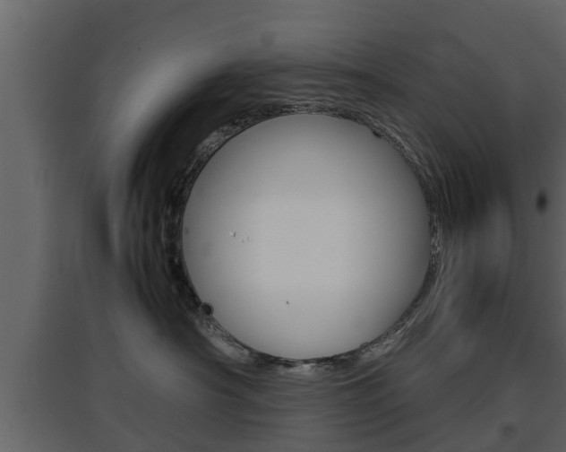 X0000097800430200803140740