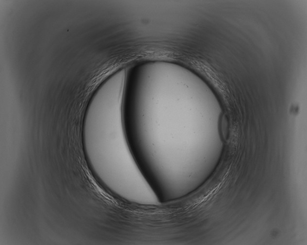 X0000097800433200803140739