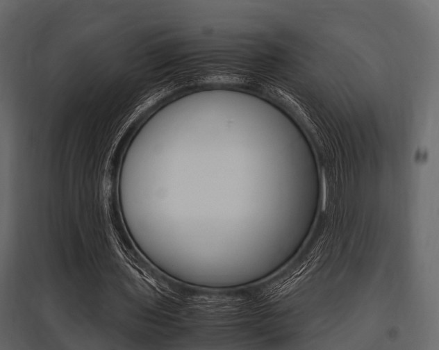 X0000097800435200803140739