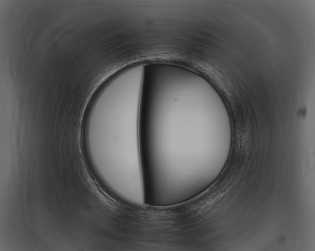 X0000097800439200803140739