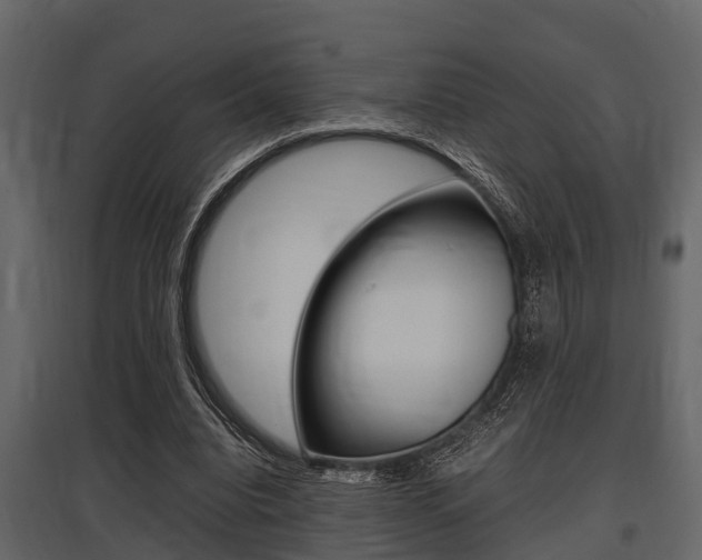 X0000097800440200803140739
