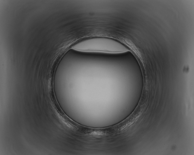 X0000097800441200803140739