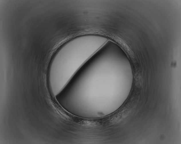 X0000097800442200803140739
